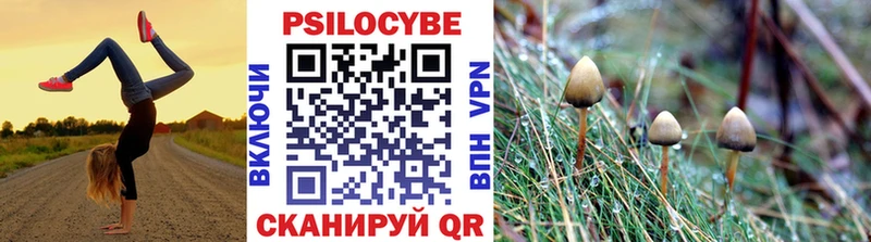 Галлюциногенные грибы Psilocybe  наркота  Крымск 